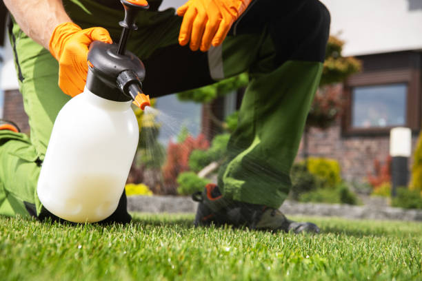 Best Bed Bug Extermination  in Emigration Canyon, UT