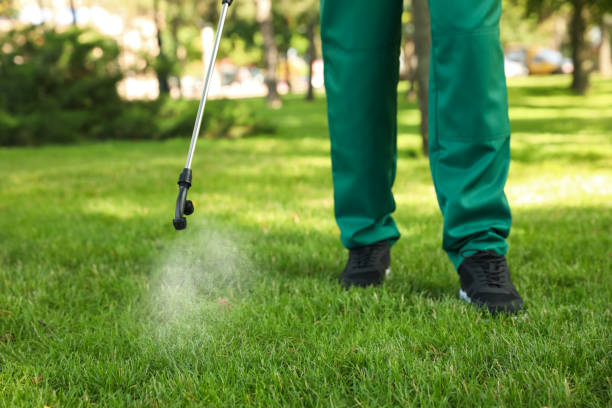 Best Residential Pest Control  in Emigration Canyon, UT
