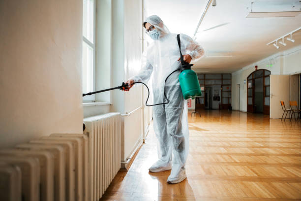 Wasp Removal Services in Emigration Canyon, UT