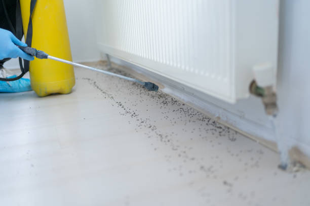 Best Bed Bug Extermination  in Emigration Canyon, UT